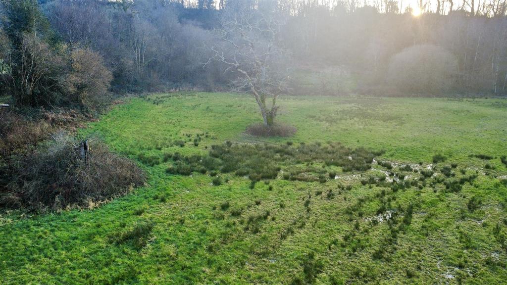 Dji fly 20260304 172920 294 1772659573215 photo op