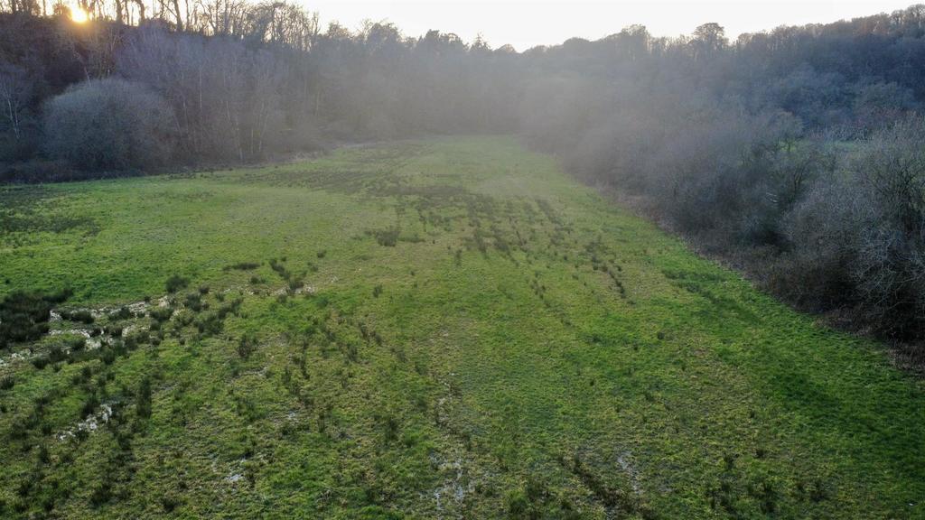 Dji fly 20260304 172914 293 1772659574879 photo op