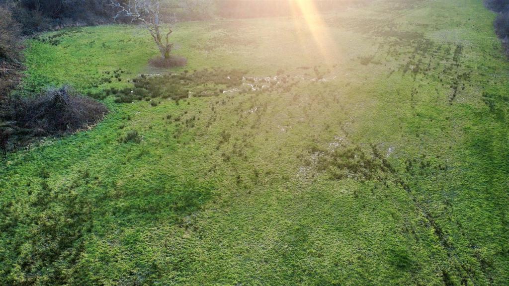 Dji fly 20260304 172906 292 1772659575823 photo op