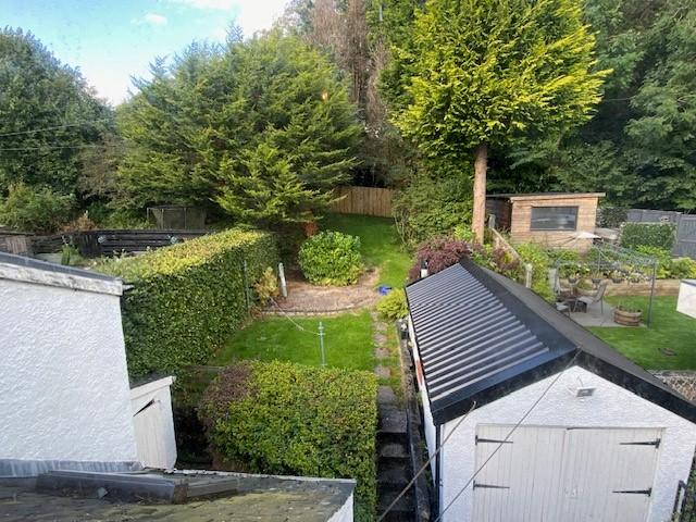 Back Garden