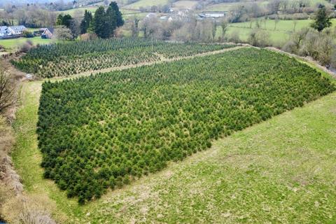 Land for sale, Llangeitho, Tregaron