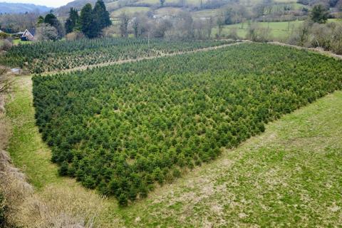 Land for sale, Llangeitho, Tregaron