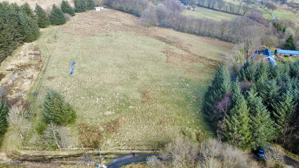 Dji fly 20260228 151220 196 1772482554225 photo op