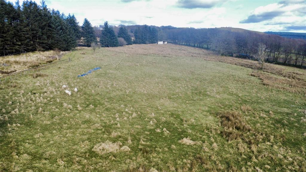 Dji fly 20260228 151402 208 1772482541877 photo op