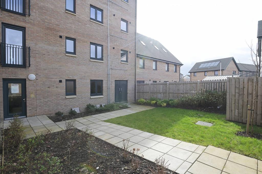 MFL3259072 117.jpg