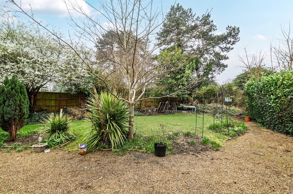 Communal Garden
