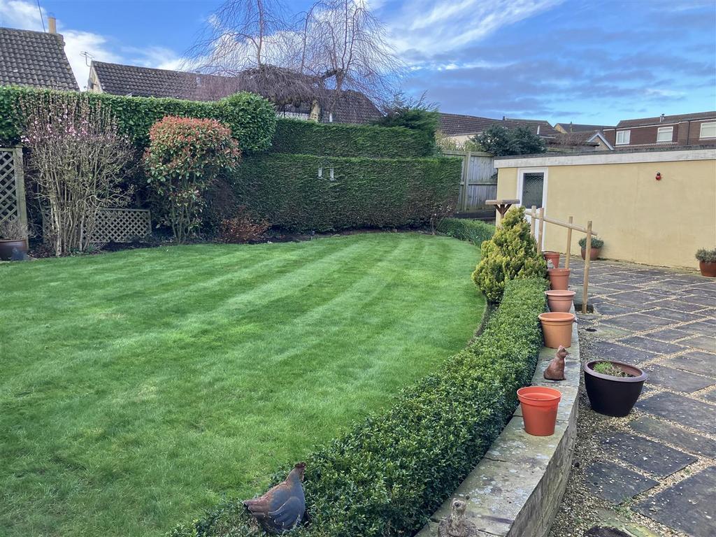 Back garden.jpeg