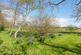 Additional image 42 of Morpeth NE65