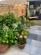 Additional image 9 of Parsonage Lane, Silverton, Exeter, Devon, EX5