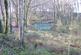 Keepscombe Wood, Duloe, Looe, Cornwall PL13