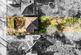 Additional image 2 of Franklands Village, Haywards Heath