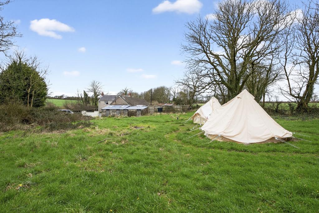 Field
