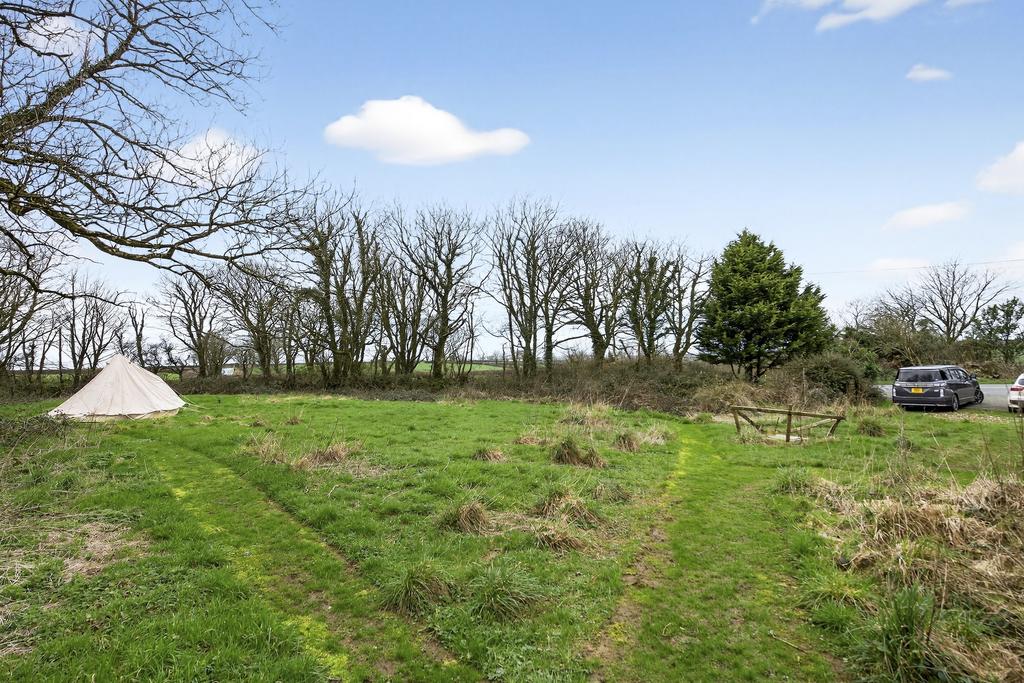 Field