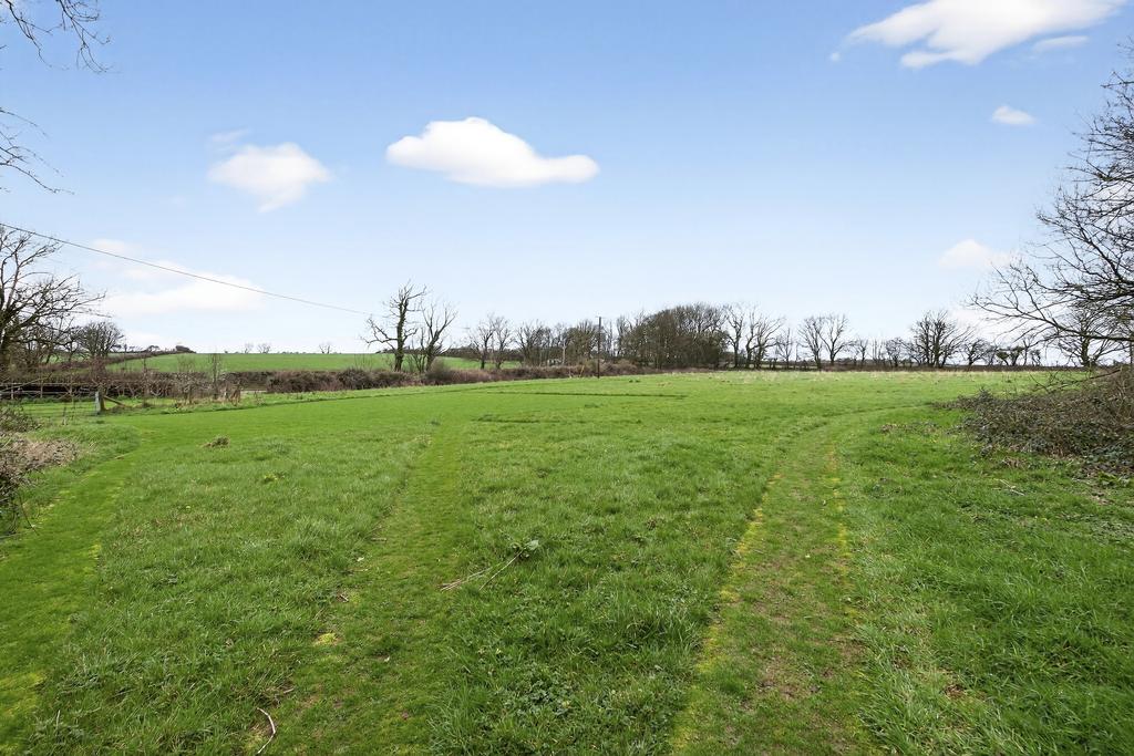 Field