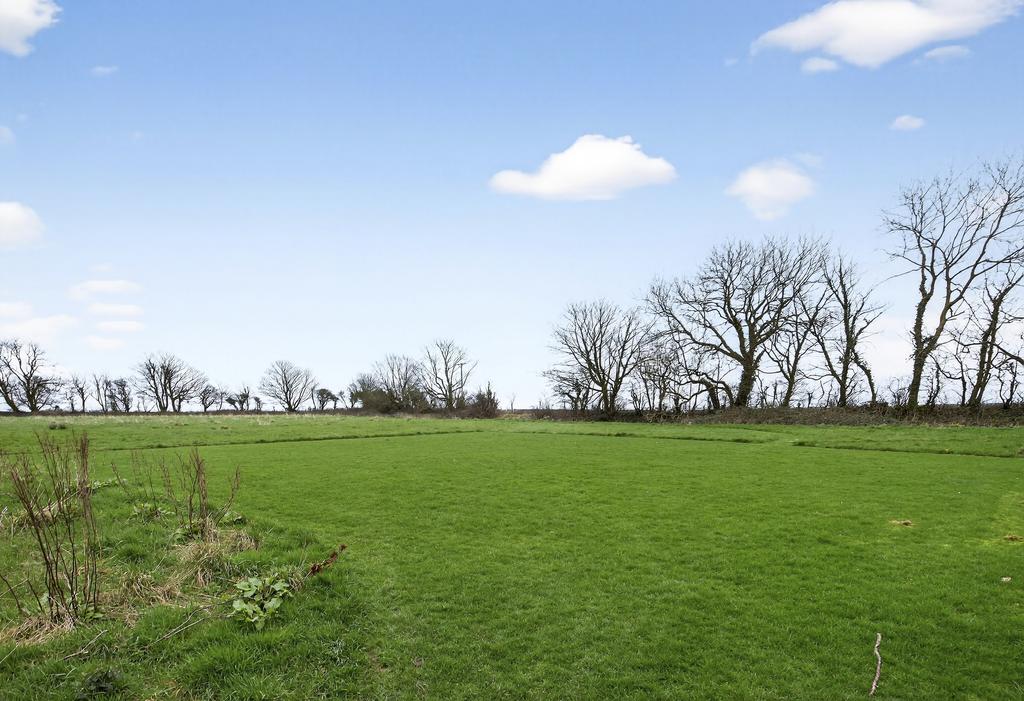 Field