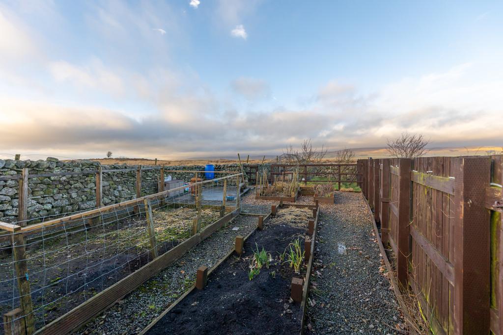 Veg Patch