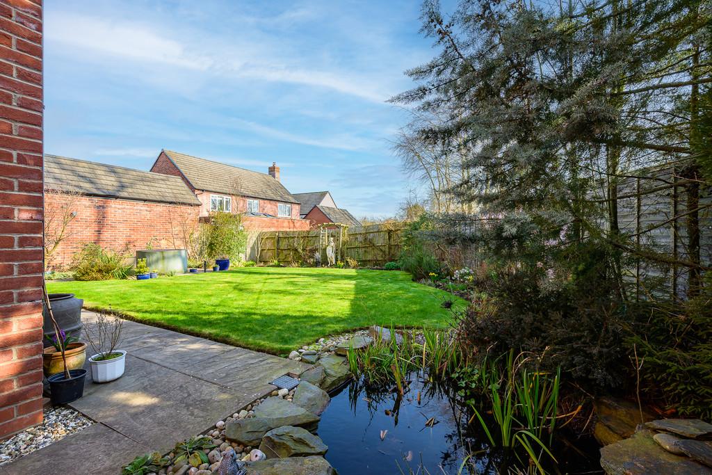 Pond and Rear Garden