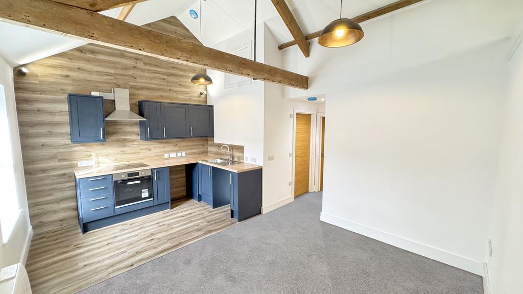 Open plan living room / kitchen