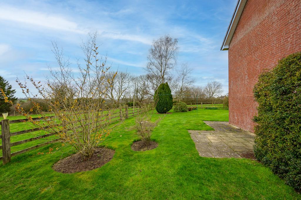 Rear Garden 5