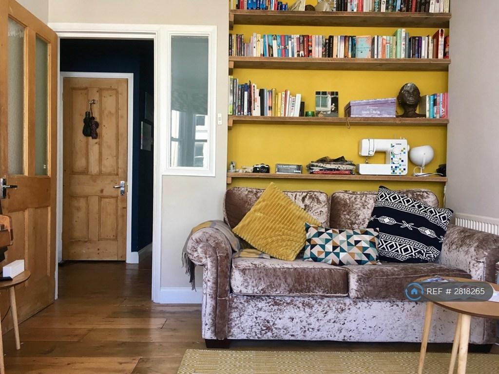 Lounge And Fold Out Sofa