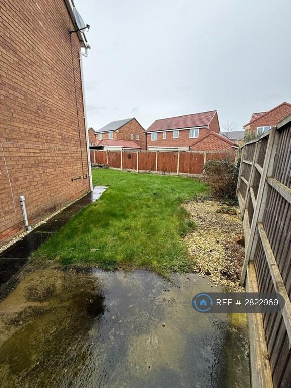Back Garden 1