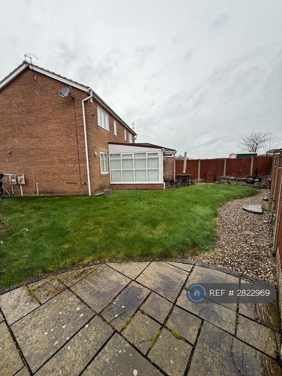 Back Garden 2