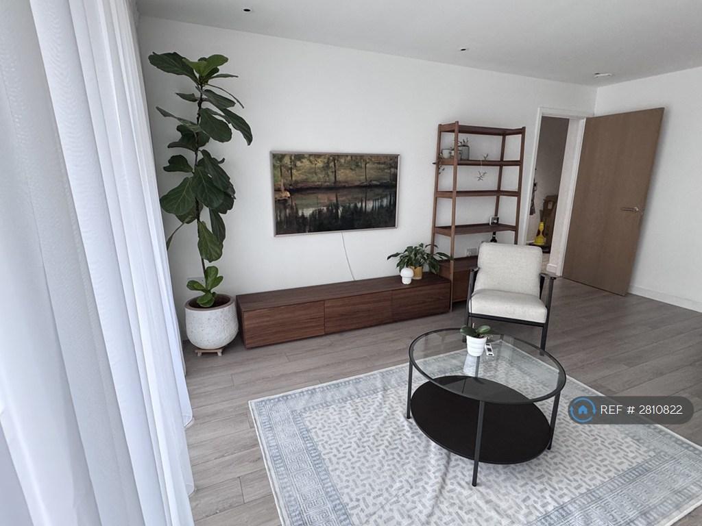 Living Room Tv