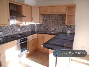 Modern Kitchen Integrated Appliances
