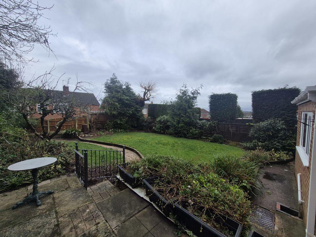 Back Garden