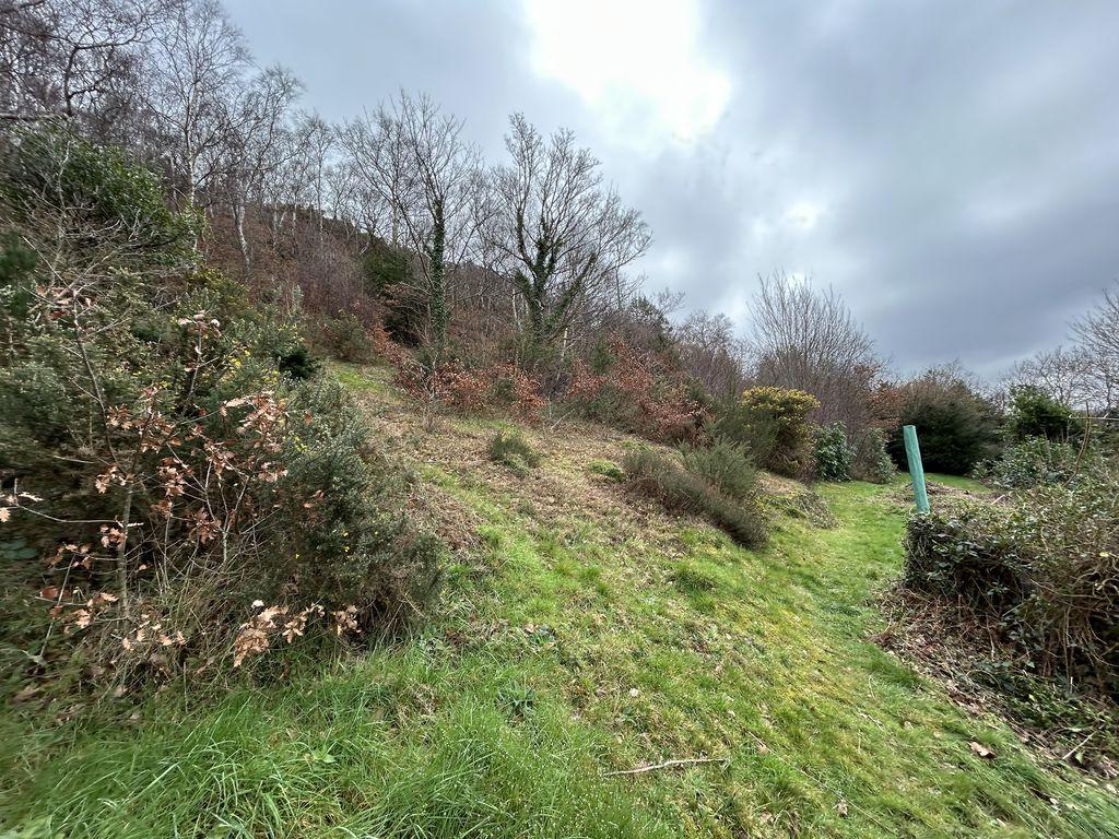 Photo 44