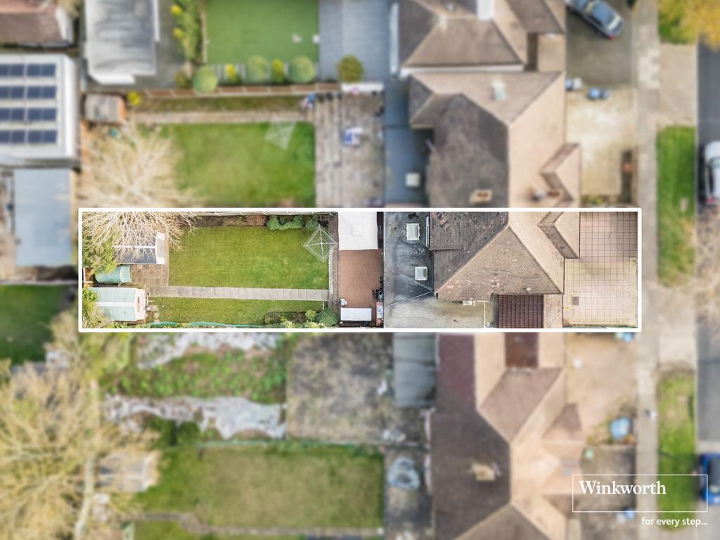 Plot View