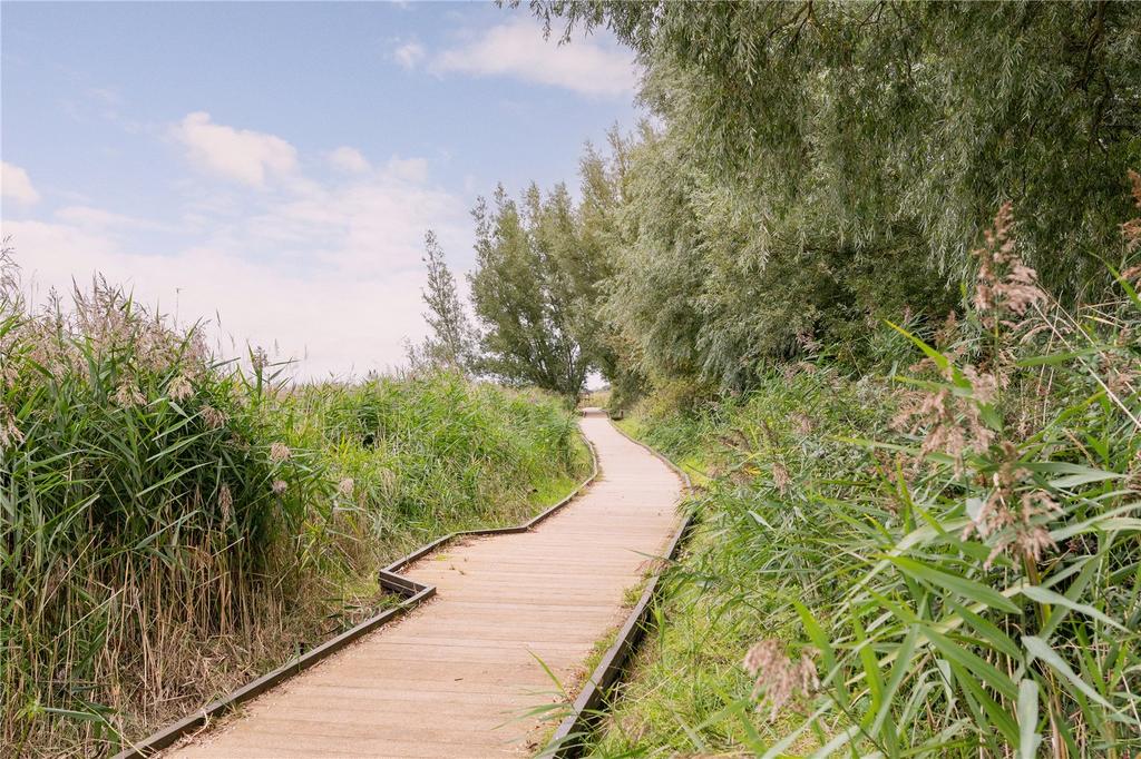 Marsh Walk