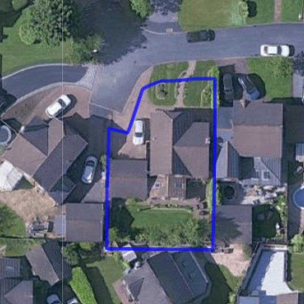 Satellite Image
