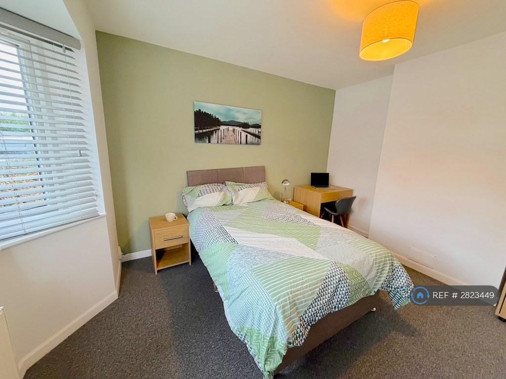 Large, Spacious Modern Room