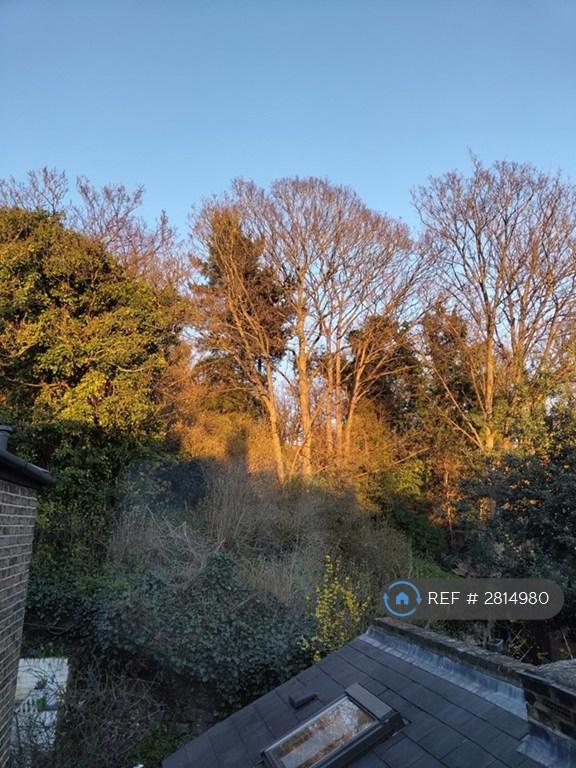 Looking To Rear Of The Garden
