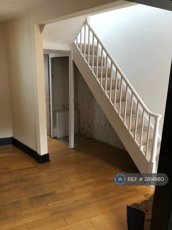 Rear Lounge