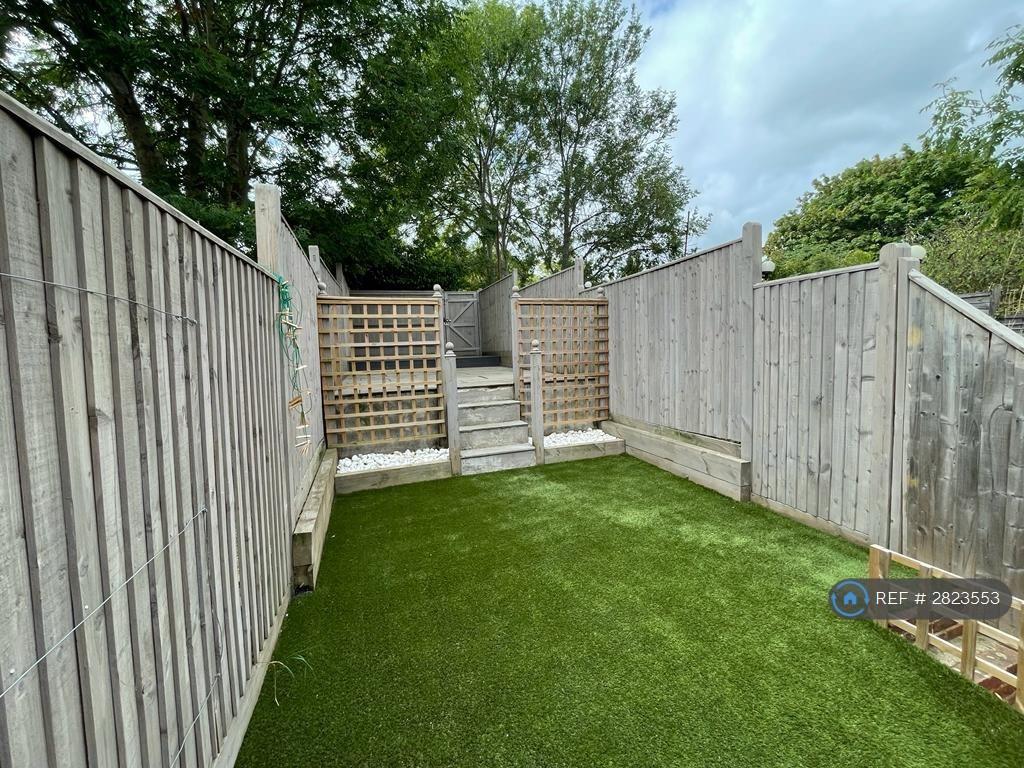 Back Garden