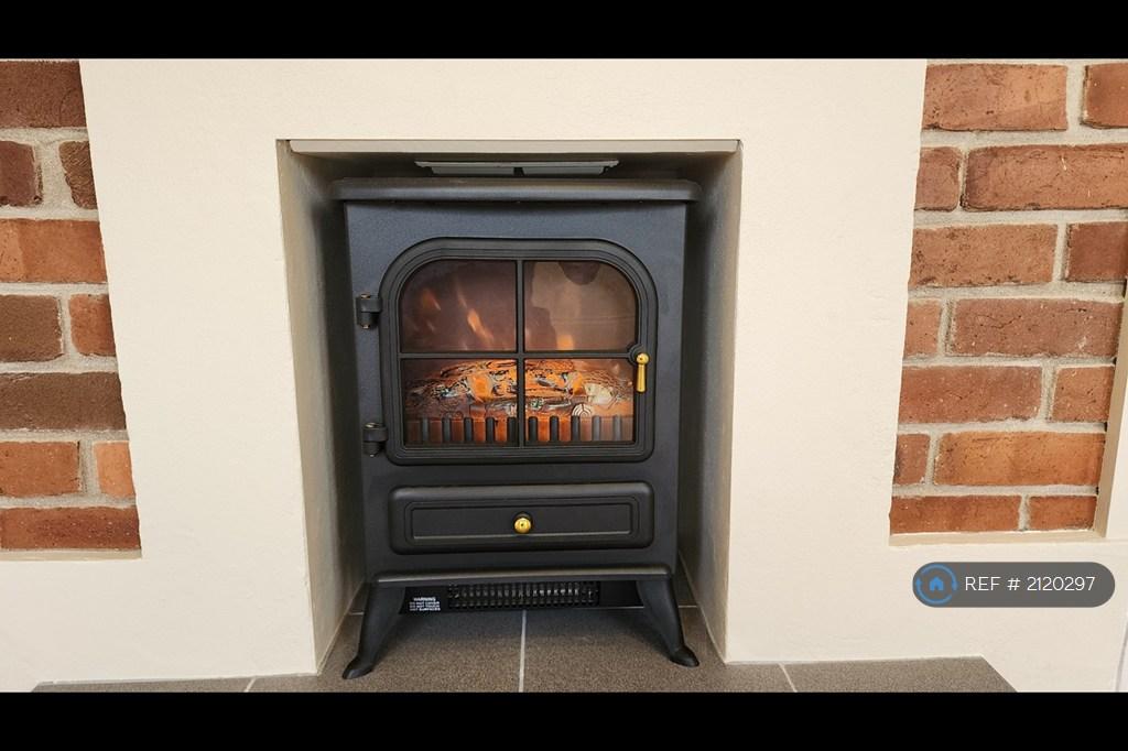 Electric Fire