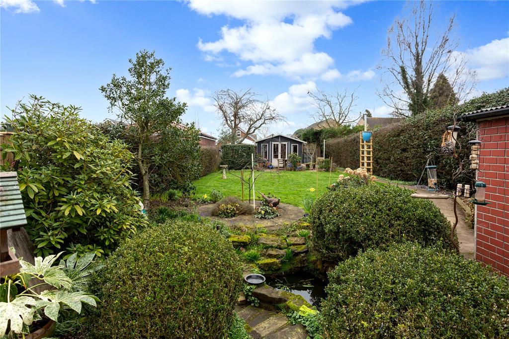 Photos
