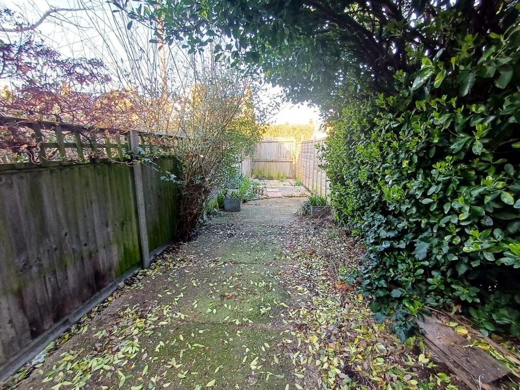 Picture 8