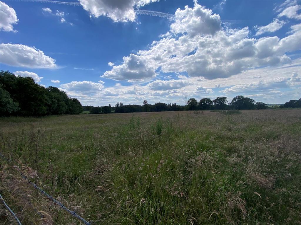 Field.jpg