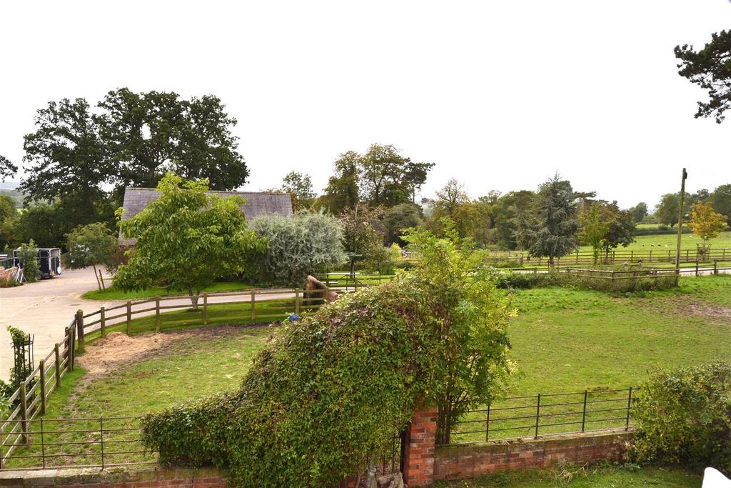 View from Bedroom