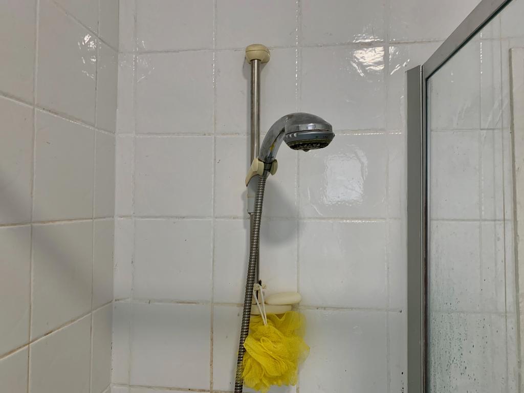 Img 4562