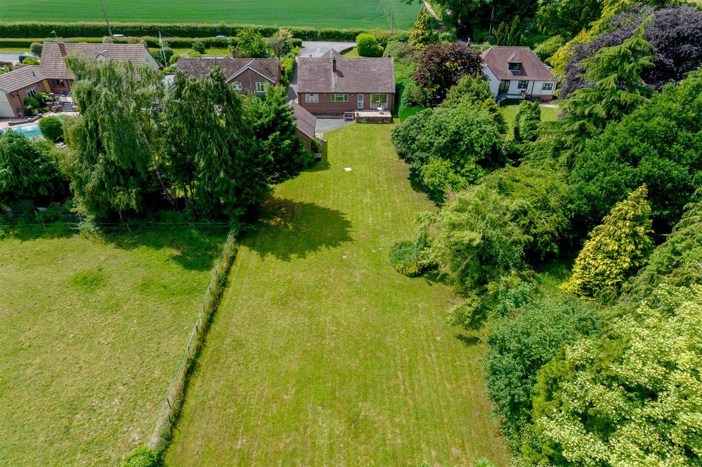 DJI 0168.jpg