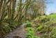 Additional image 16 of Lower Loxhore, Barnstaple EX31