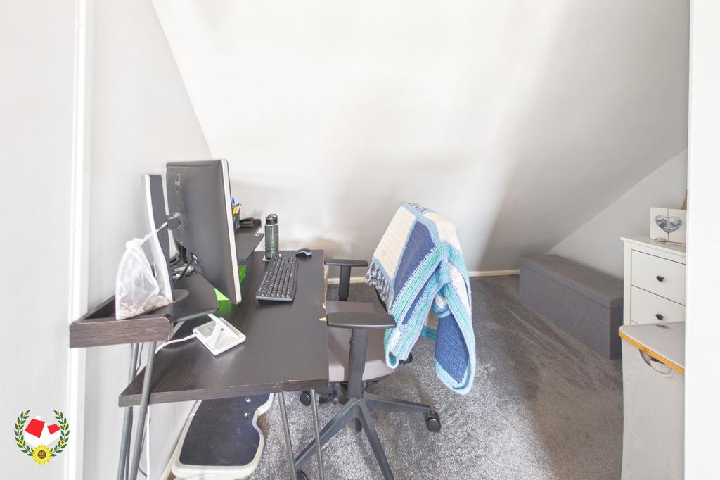 Study Area