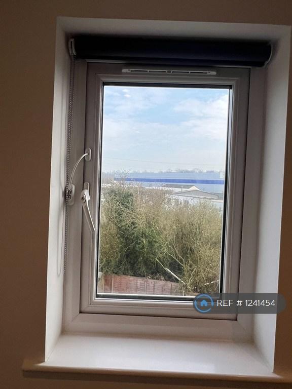 View From Bedroom 4