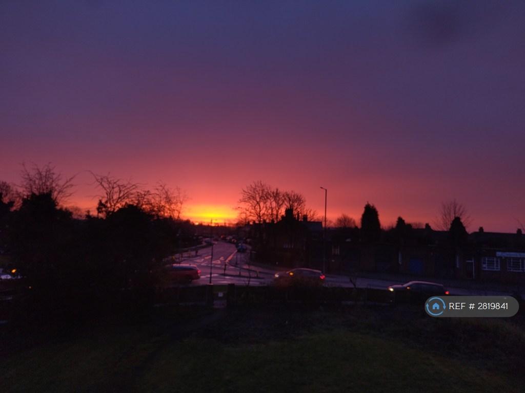 Shared Sunrise
