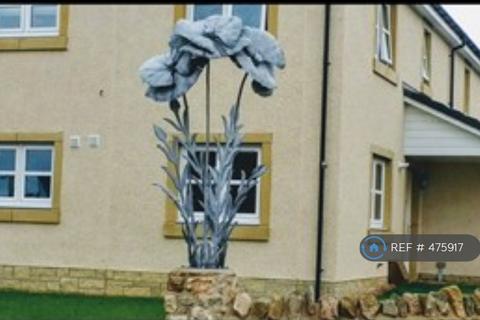 undefined, Milne Meadows, Nr Musselburgh, EH21