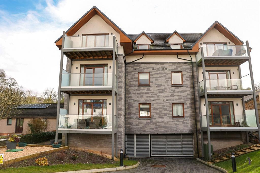 Rear Elevation
